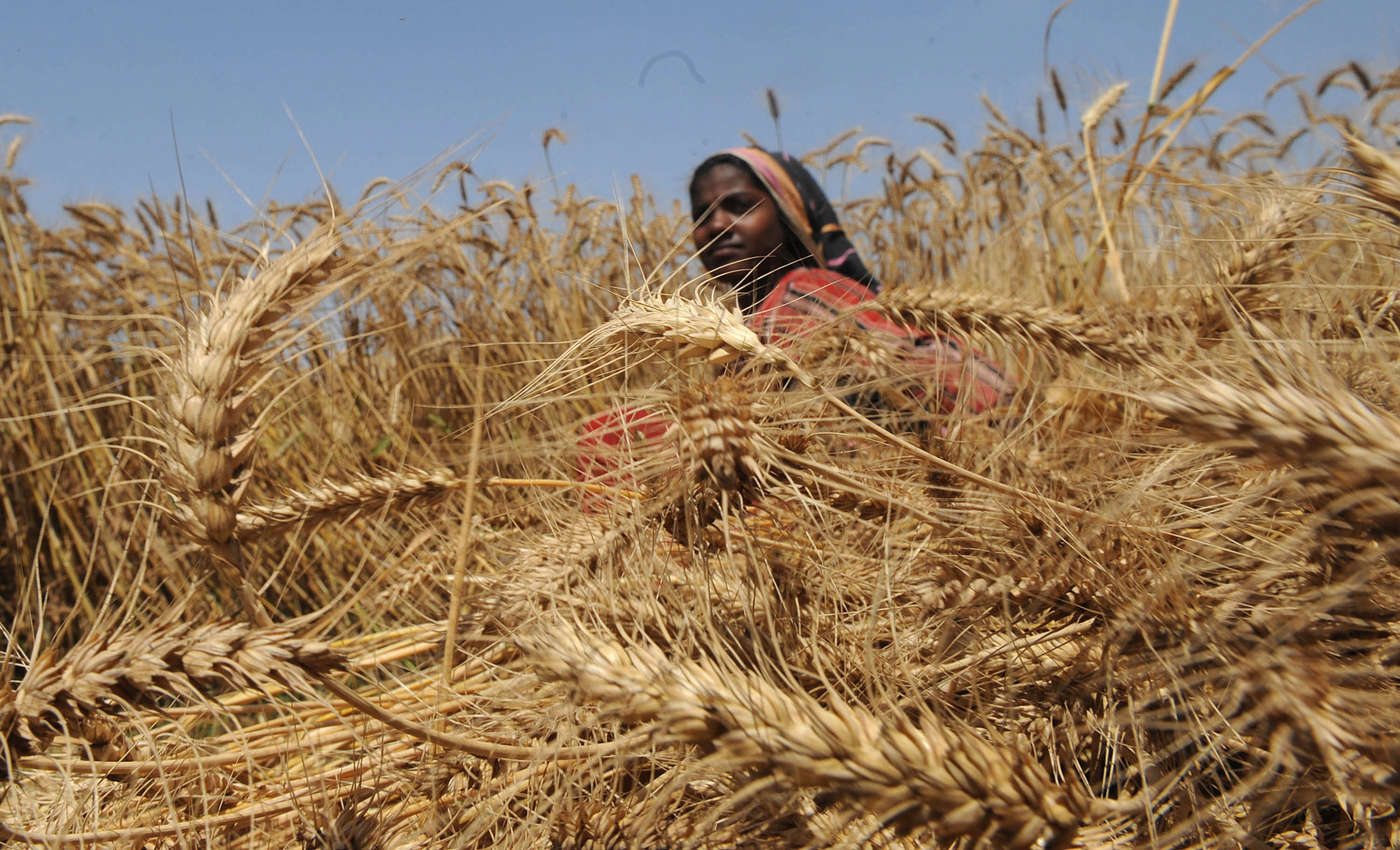 Climate Change Affecting Indian Agriculture Skymet Weather Services