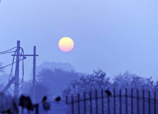 Fog in India