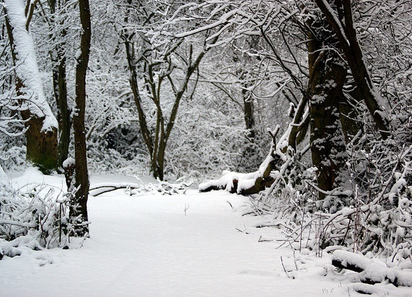 Snow in Jammu and Kashmir