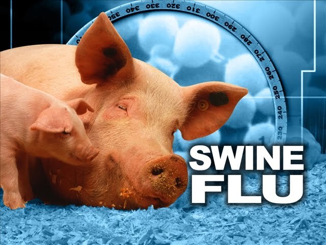 Swine Flu Makes a Comeback, Take Precautions | Skymet Weather Services