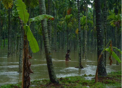 Rain in Kerala