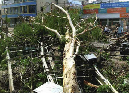 Storm in Bihar