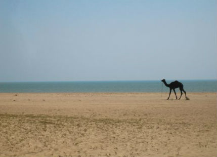 Summers in Gujarat