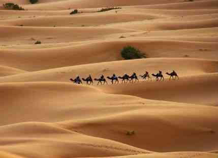 Summers in Jaisalmer