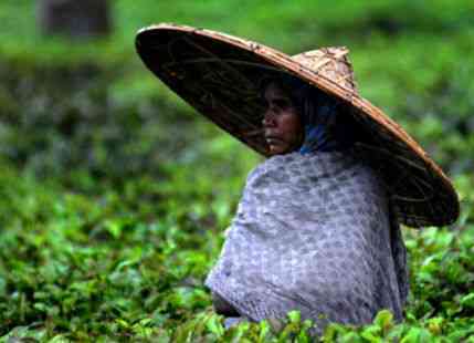 north east rain india