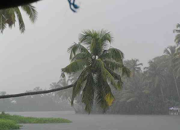 Kerala Monsoon