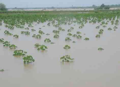 Marathwada rain