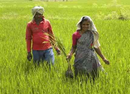 Monsoon in Andhra Pradesh