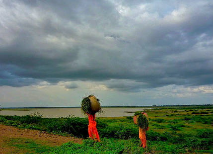 Rain in Central India