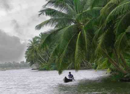 Rain in Kerala