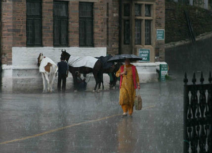 Shimla rain