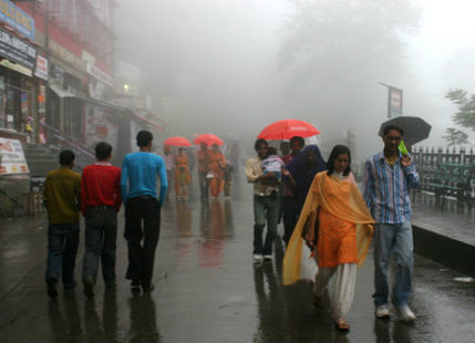 Shimla rain