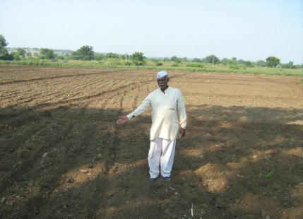 Marathwada farm