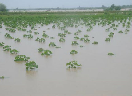 Monsoon rain