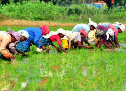 Rain in Marathwada