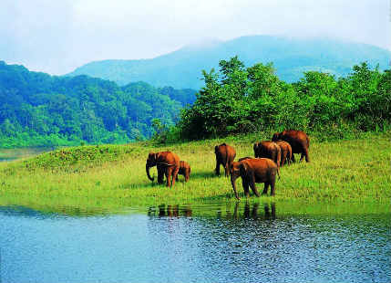 Things to do in Thekkady