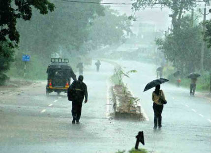 Odisha rains