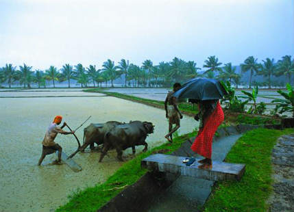 Weather Peninsular India