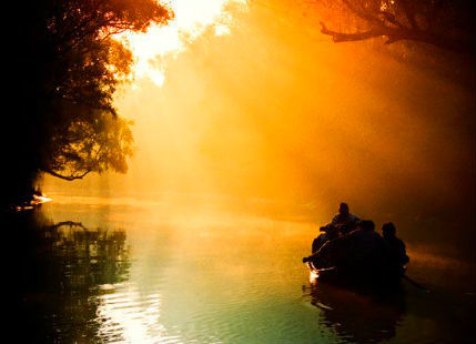 Sunderban National Park Boat Ride