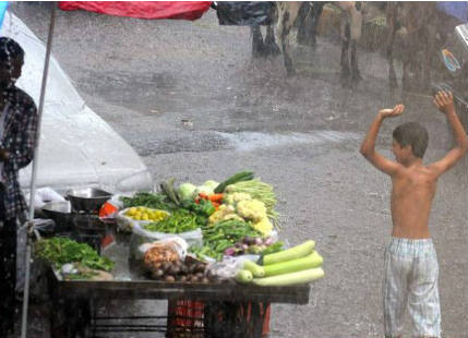 Rain in Madhya Pradesh