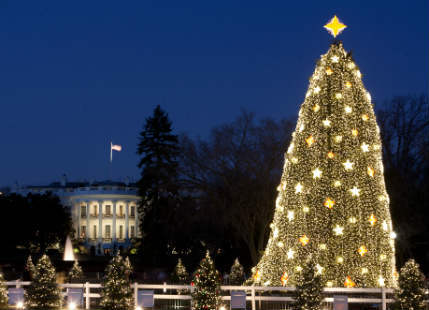 No White Christmas in Washington D.C.