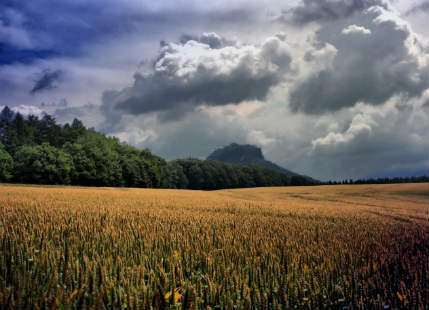 Rain in East India