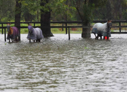 Raymond terrace floods