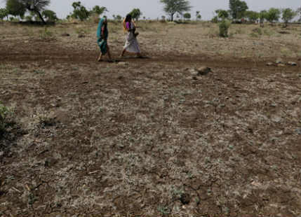 Dry January ahead for drought parched Marathwada