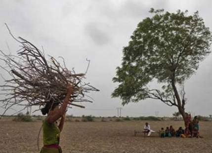 Light rain in the offing for West Rajasthan