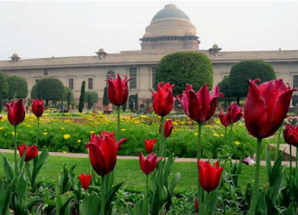 mughal-garden