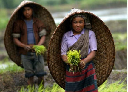 Rain in Northeast India