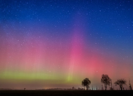 aurora Germany