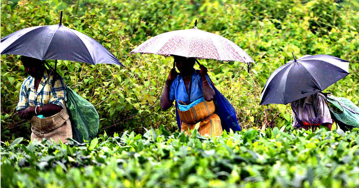 Nagaland, Arunachal Pradesh