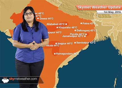 Weather Forecast for May 1: Rain in Odisha, Telangana, heatwave in Rajasthan, Kerala