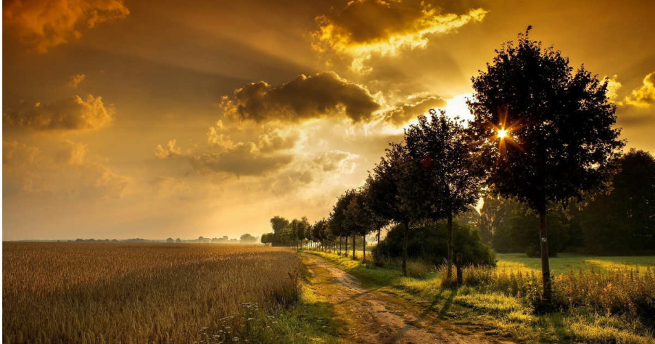 Punjab rains