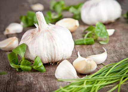 Wellness Wednesday: 5 Reasons to make peace with garlic