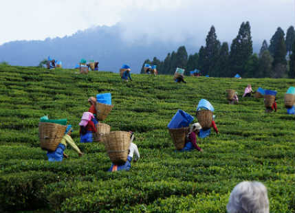 El Niño a boon for rains in Northeast India