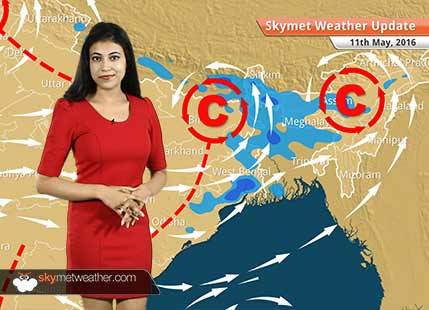 Weather Forecast for May 11: Pre-Monsoon activities likely in entire India barring West