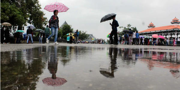 rain in shimla