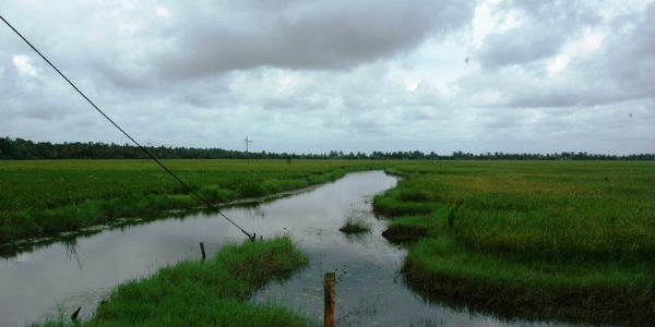 Monsoon like rains to increase over West Coast Inside - West Coast