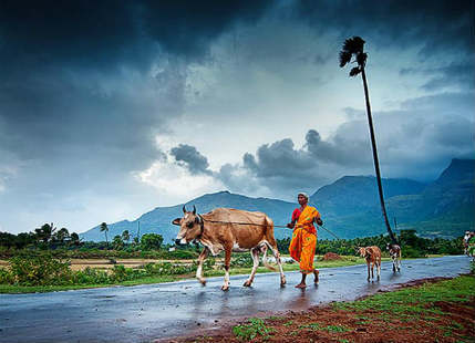 Monsoon in India