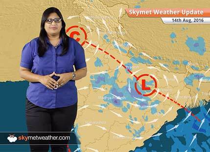 Weather Forecast for Aug 14: Good Monsoon rains in UP, MP, Chhattisgarh, light rain in Delhi