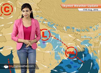 Weather Forecast for Aug 17: Good Monsoon rains in MP, UP, Chhattisgarh, Jharkhand, West Bengal