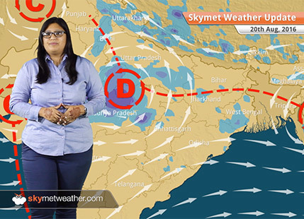 Weather Forecast for Aug 20: Heavy Monsoon rains in UP, MP, rain in Delhi, Uttarakhand