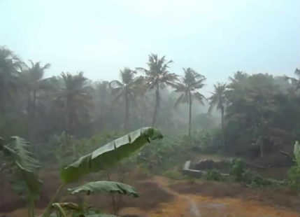 kerala rains feature