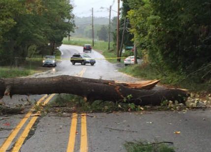 Stormy Sunday in Massachusetts causes ripped trees, crushed cars