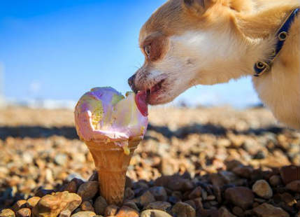 Another round of heatwave to set foot in Britain