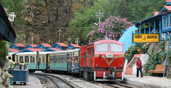 Shimla dpauls 600