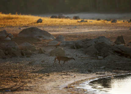 Alabama Drought