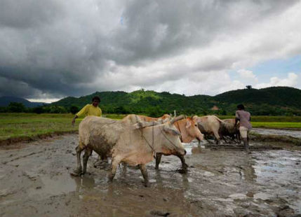 Rain in Maharashtra